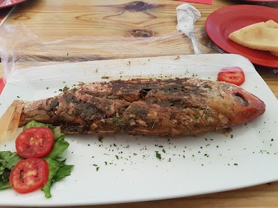 Photos of Rocky Point White Sand Beach Seafood Restaurant