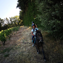 Photo n°6 de Centre équestre du clos d'Enfer à Jonquières (Pension de famille)