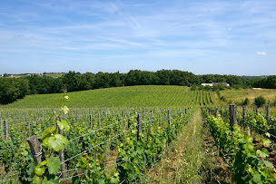 Photo n°3 de Domaine Les Carmels à Langoiran (Vignoble)
