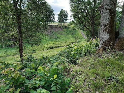 Apuolės piliakalnis