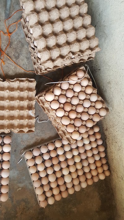 Photos of PALMA FARM