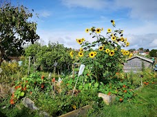 Horfield & District Allotments Association bristol