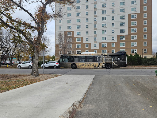 Regina Transit System - Visual