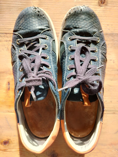 The Sensible Shoe Company - Thumbnail