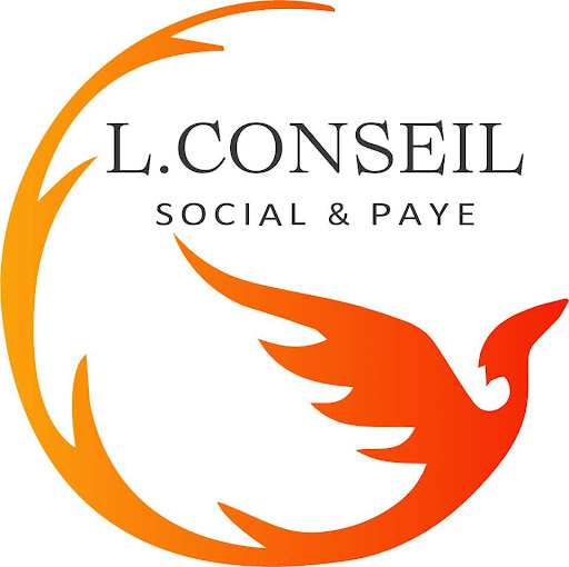 L CONSEIL SOCIAL ET PAYE - Thumbnail