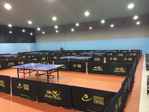 Expert Swing Table Tennis Centre, Author: Ken CHin