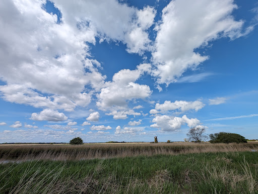 Martham Broad Nature Reserve - Thumbnail