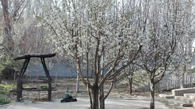 Photos of باغ سارا