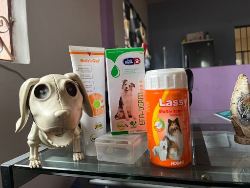 LeyVet Clínica Veterinaria