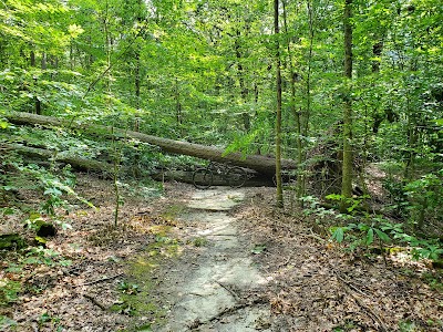 Tuckahoe State Park