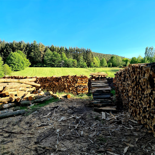 Brennholz-Wasgau - Thumbnail
