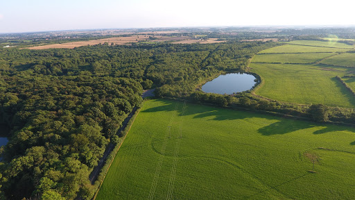 Willesley Park