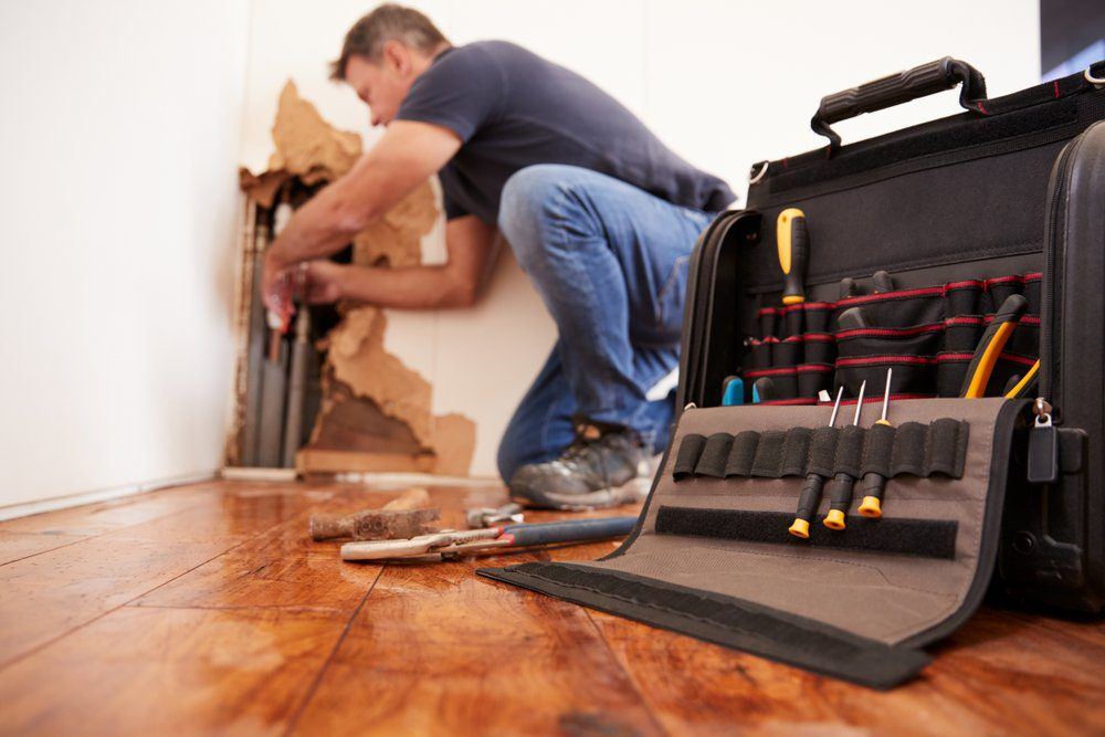 Olabs Water Damage and Mold Restoration photo