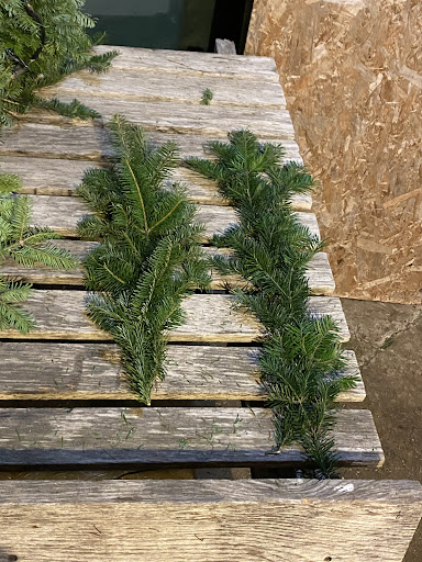 Maine Transporter - Thumbnail