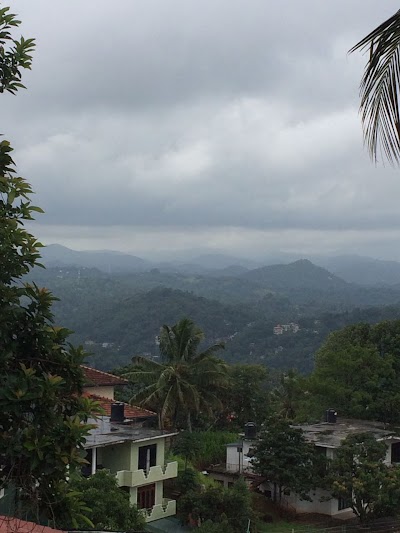 Photos of Primrose Hill Holiday Bangalow