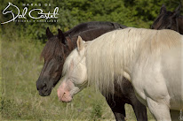 Augier Legrand Cécile à Montbernard