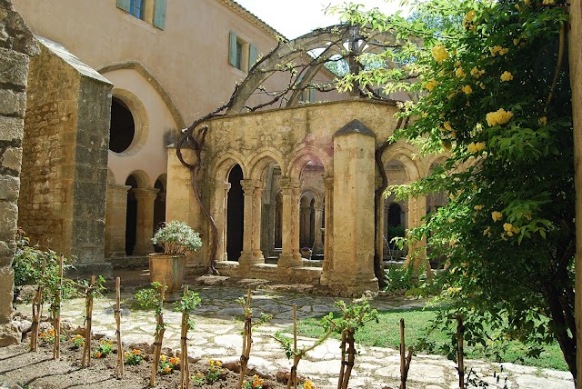 Abbaye Sainte-Marie de Valmagne