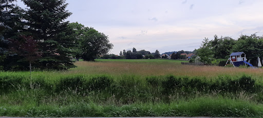 Fleischerei Krumpolt - Visual
