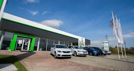 Camea Car Škoda