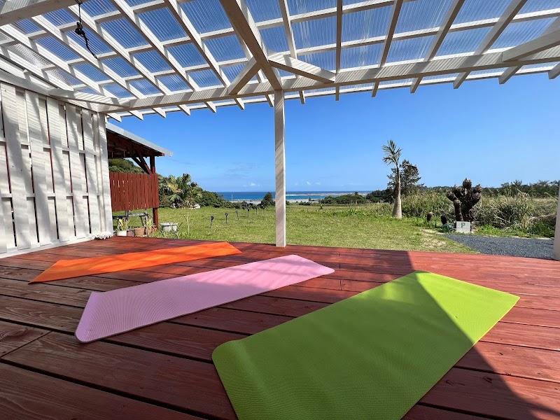 アヤマルソウ/AYAMARUSOU