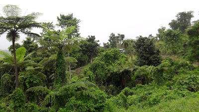 Photos of Natadradave