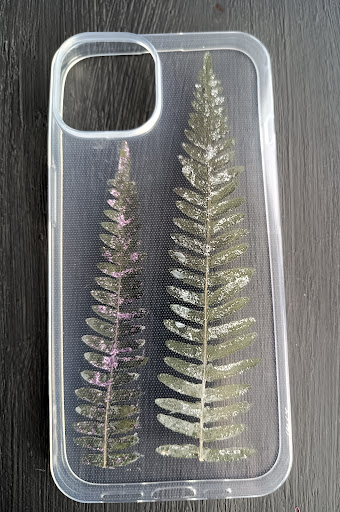 Forest and Ferns - Thumbnail