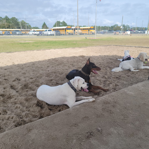 Frank Brown Park Dog Park