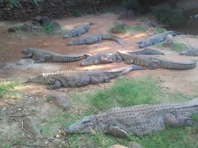 Photos of Kwena Chalets