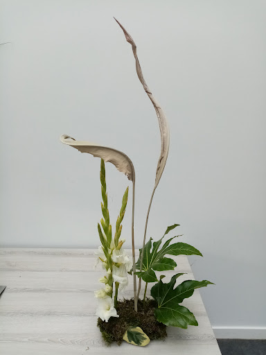 Creative petals - Visual