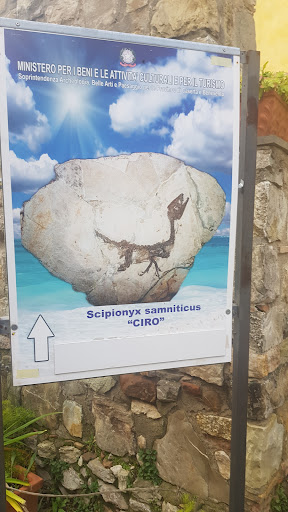 Soprintendenza archeologia, belle arti e paesaggio per le province di Caserta e Benevento - Centro Operativo - Thumbnail