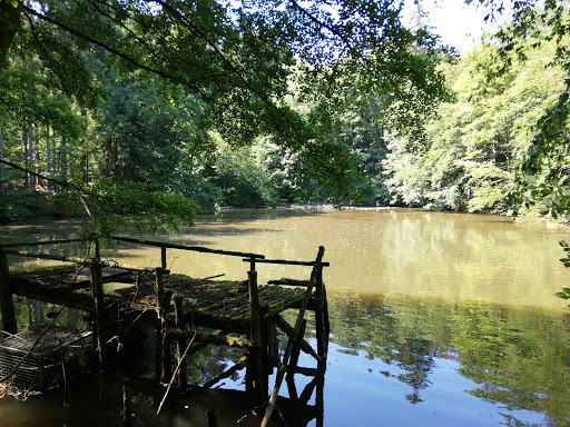 Isselteiche - Visual