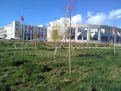 Photos of Munzer University