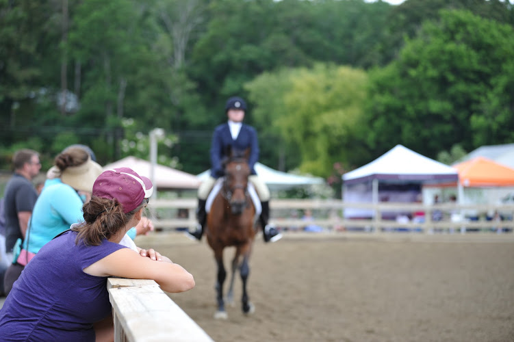 Sonny Brooke Stables