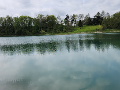 Gemeinde Halfing - Visual