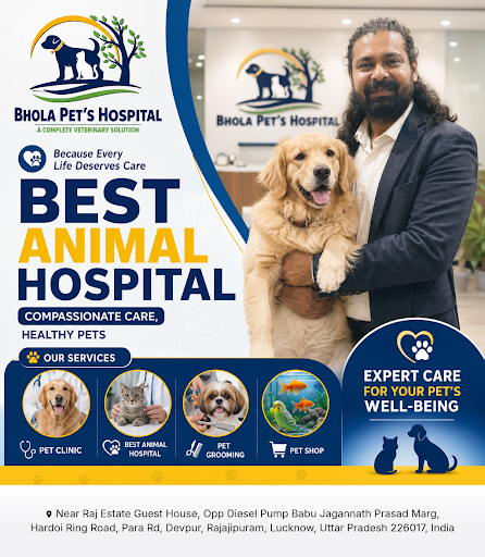 Bhola Pet's Hospital offers comprehensive animal diagnostic clinic services, providing expert car… post image