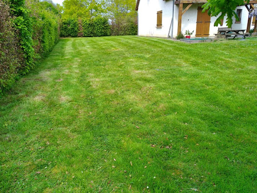 Rêvons Vert - Visual