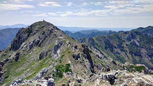 Pico Muga - Visual