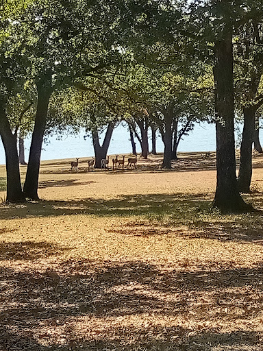 LH Campground, Fishing, Pavillion - Thumbnail