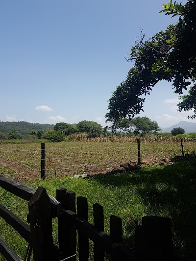 Photos of Hacienda El Potro Nueva Esperanza. Pr