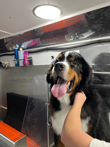 Shear Bliss Mobile Dog Spa Gallery - United States