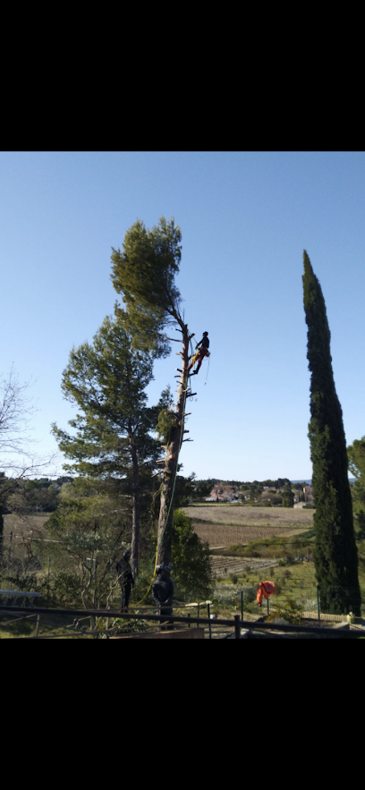 Vendrell Jordan Elagage, abattage, espaces verts