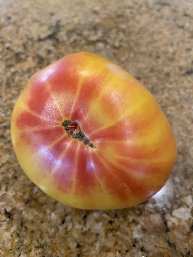 The Foodverse Gallery - United States