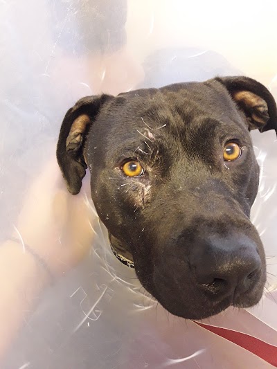 Photos of Ita Vet