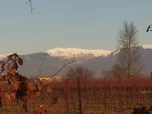 Oderzo - Zona Industriale - Visual