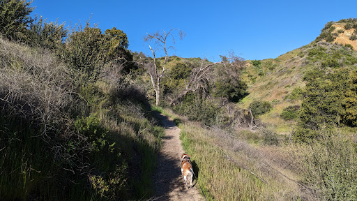Rivendale Park & Open Space: Taylor Trailhead - Thumbnail
