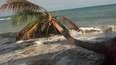 Photos of Beachcomber at Las Canas