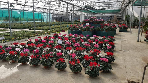 Photo de Les Jardins de Péline à Saint-Perdon (40090)