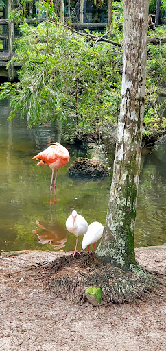 Tropics Café Gallery - United States