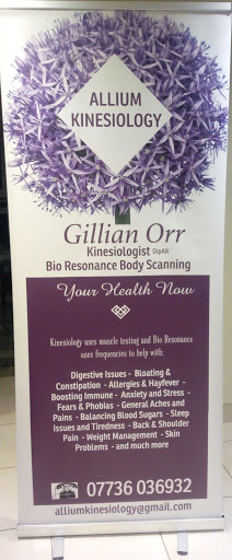 Your Health Now by Gillian Orr... incorporating Kinesiology & Bio Resonance Body Scanning and much more