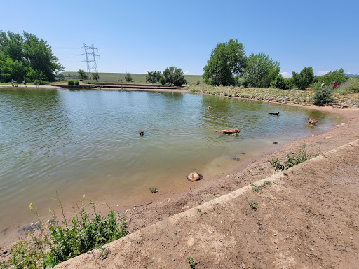 Chatfield Dog Park Gallery - United States